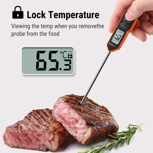 ThermoPro TP01H